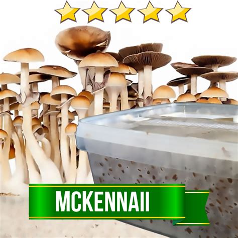 The Role of Psilocybin in Magic Mushroom Kits for Canadian Users